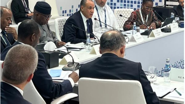  بدر عبد العاطي وزير