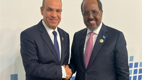 الدكتوربدر عبد العاطي