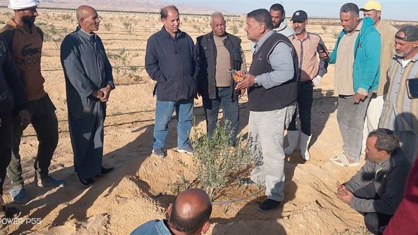 بحوث الصحراء يُكثف