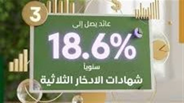 كيفية استثمار 300