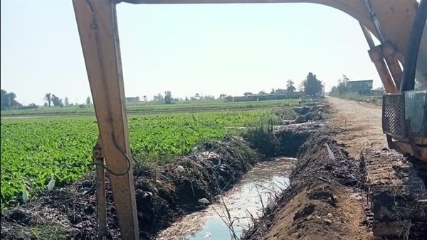 أبرز جهود الدكتور