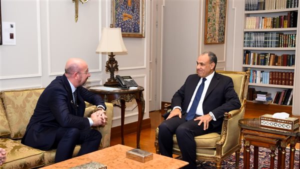 وزير الخارجية يلتقي