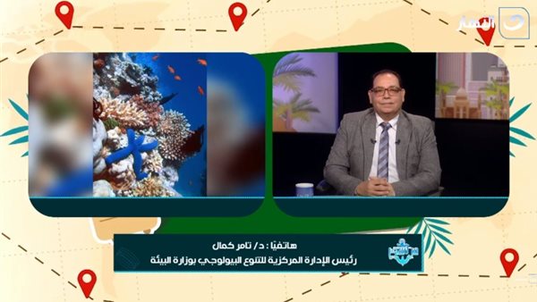  الدكتور تامر كمال