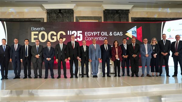 المهندس كريم بدوي