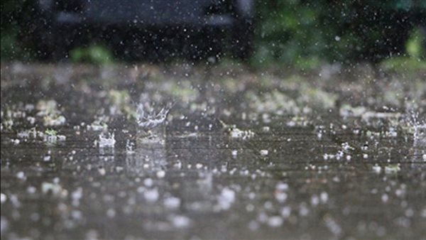 تفسير حلم نزول المطر