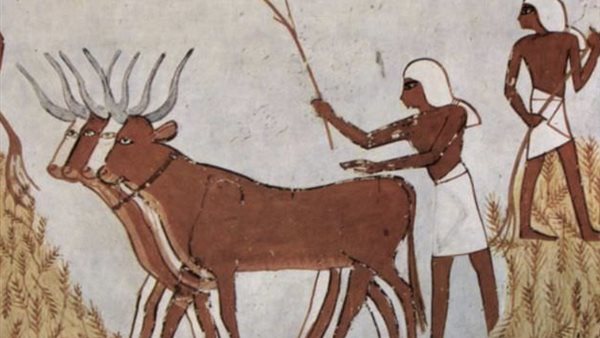 علاقة شهر كيهك بالزراعة