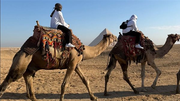 سفير الإمارات خلال