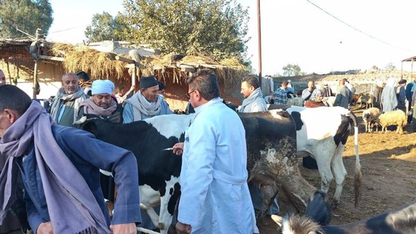  الحملة القومية لتحصين