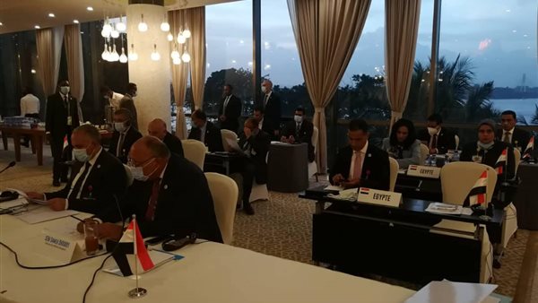 وزير الخارجية فى