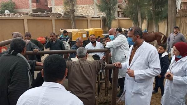 القوافل البيطرية