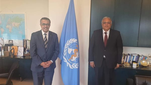 مندوب مصر الدائم