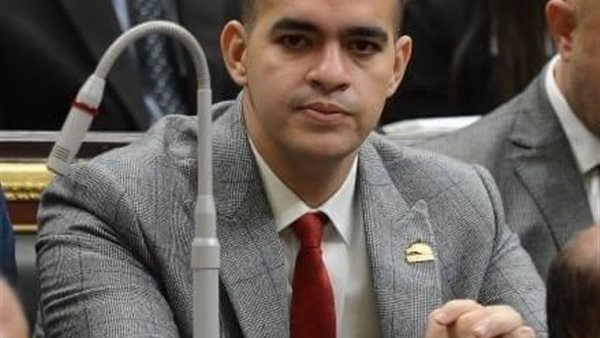 نائب الشيوخ محمود