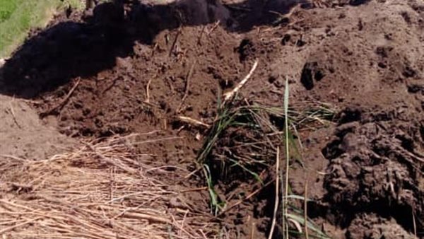 ازالة تعديات محافظة