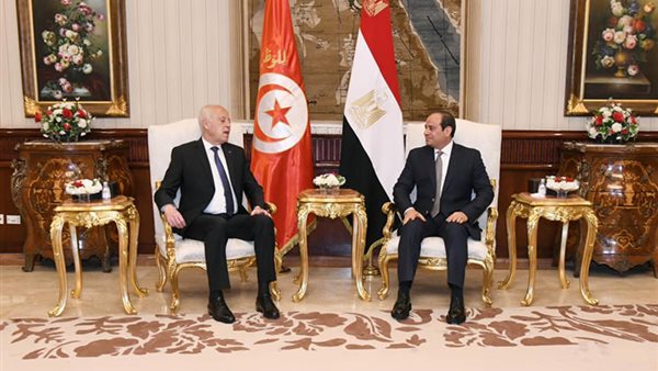 الرئيس السيسى خلال