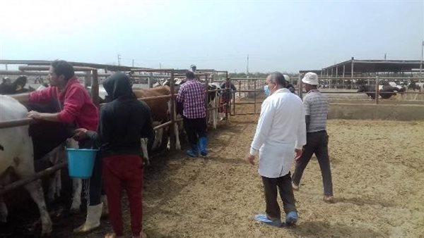 جانب من الحملة