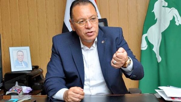 محافظ الشرقية 