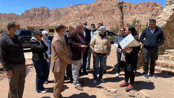 ياسمين فؤاد وزيرة