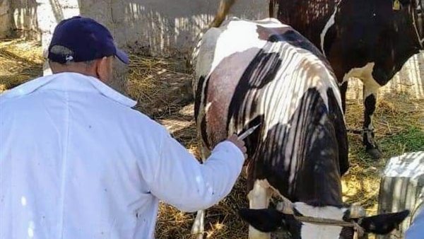 قافلة بيطرية علاجية