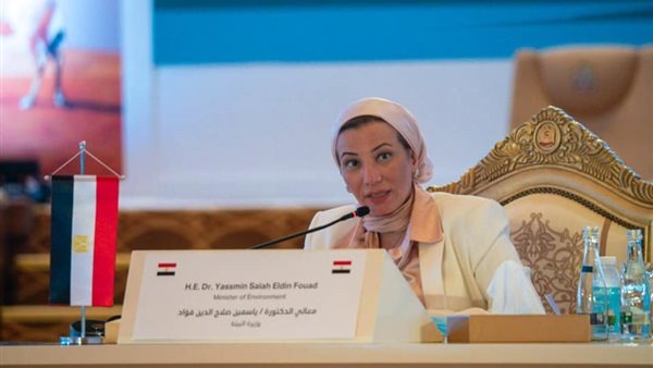 ياسمين فؤاد وزيرة