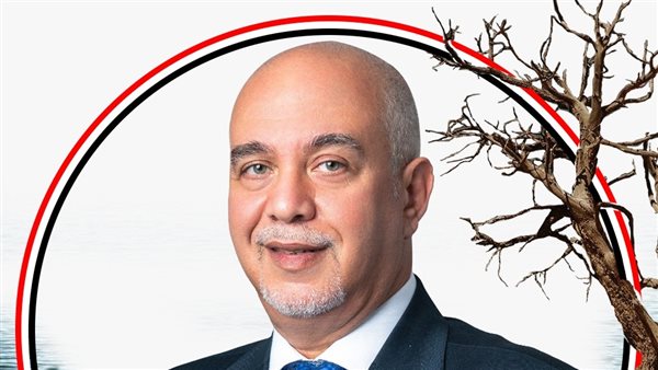 النائب حازم الجندى