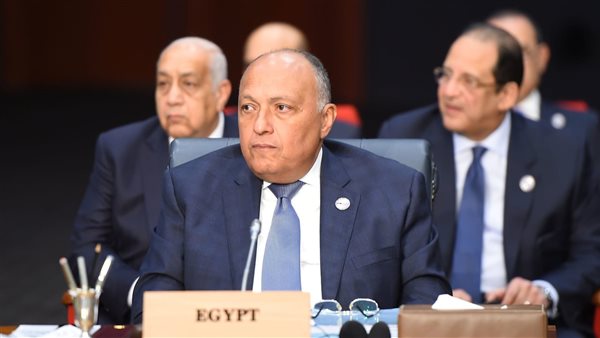 سامح شكري وزير الخارجية