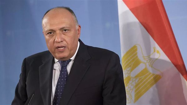 سامح شكري وزير الخارجية