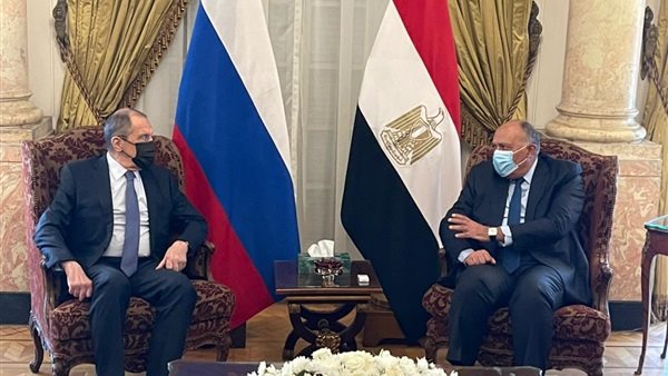 سامح شكري وزير الخارجية