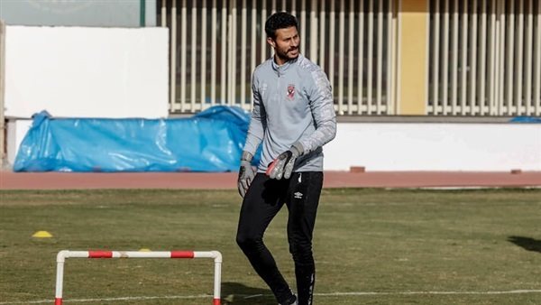 محمد الشناوي