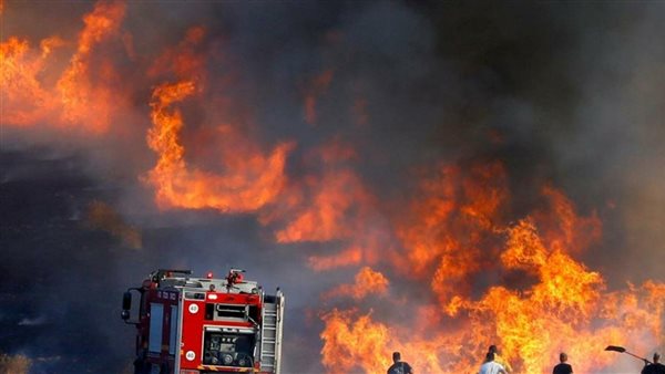 صورة أرشيفية