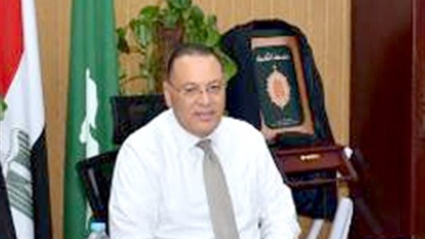 محافظ الشرقية 