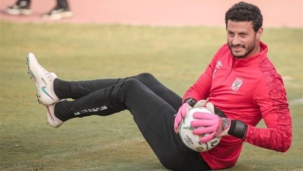 محمد الشناوي