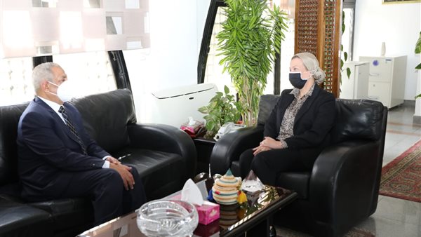 ياسمين فؤاد وزيرة