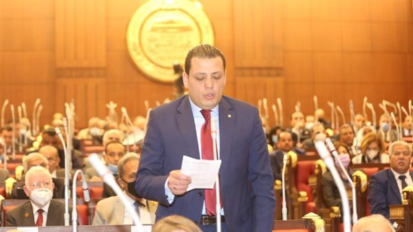 النائب باهر أمين