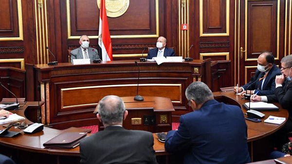 لقاء وزير الرى