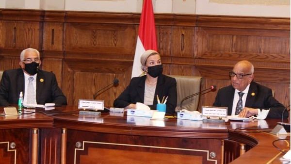 ياسمين فؤاد وزيرة