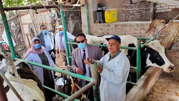 محافظ الدقهلية خلال