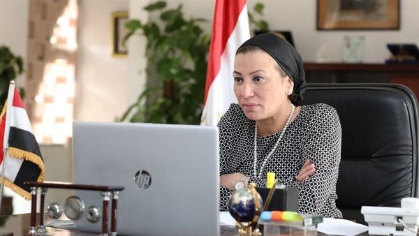 ياسمين فؤاد وزيرة