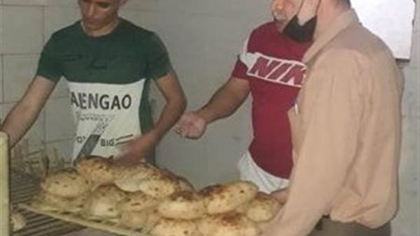 جانب من الحملة