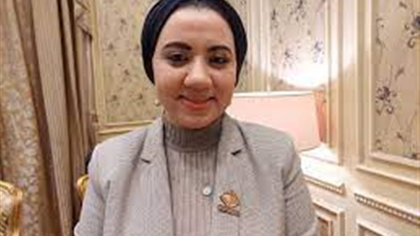 نائبة التنسيقية أميرة