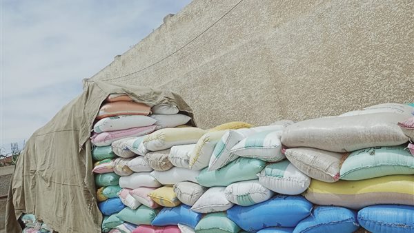 صورة من الحدث