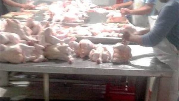 جانب من الحملة