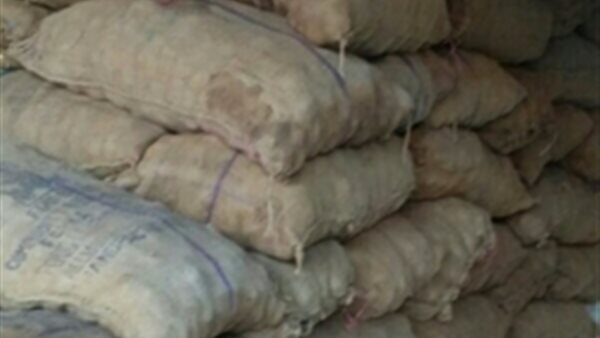 صورة ارشيفية