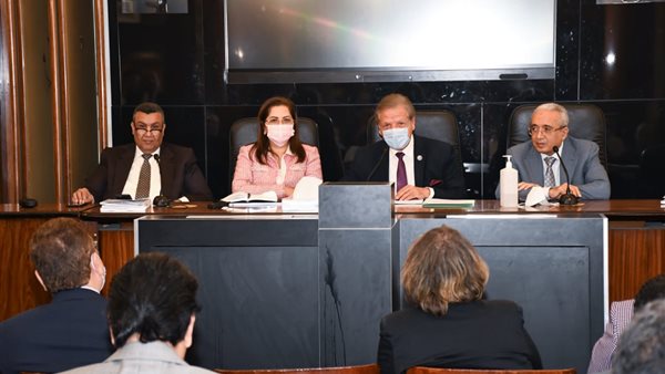 وزيرة التخطيط