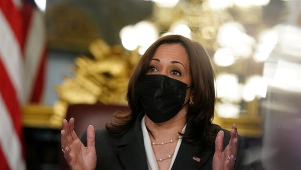 نائب رئيس الولايات