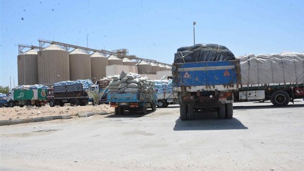 توريد القمح