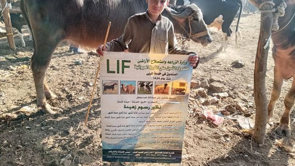 صورة من الحدث