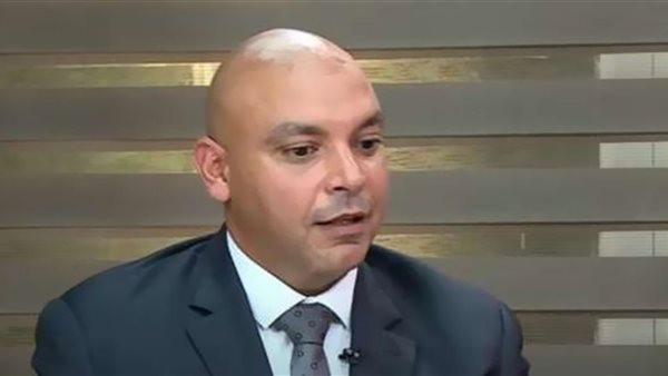 النائب محمود القط