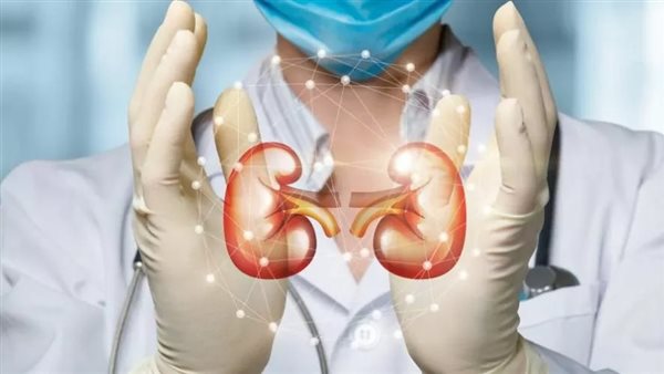 عاجل.. 3 أخطاء يومية تهدد وظائف الكليتين وتسبب فشلاً كلويًا قبل سن الأربعين 