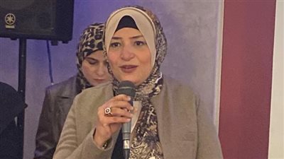 صورة توضيحية     