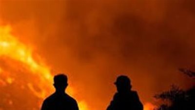 صورة موضوعية